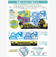 定番オリジナルタオルカタログ　毛違いジャガード/今治タオルブランド①