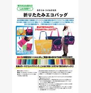 カラフル・ツイルクロス≪折りたたみエコバッグ≫